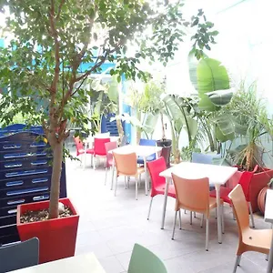 Parrots Otel
